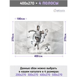 Фотообои Спортивные игры - Футбол Роналду 400х270 см для коридора
