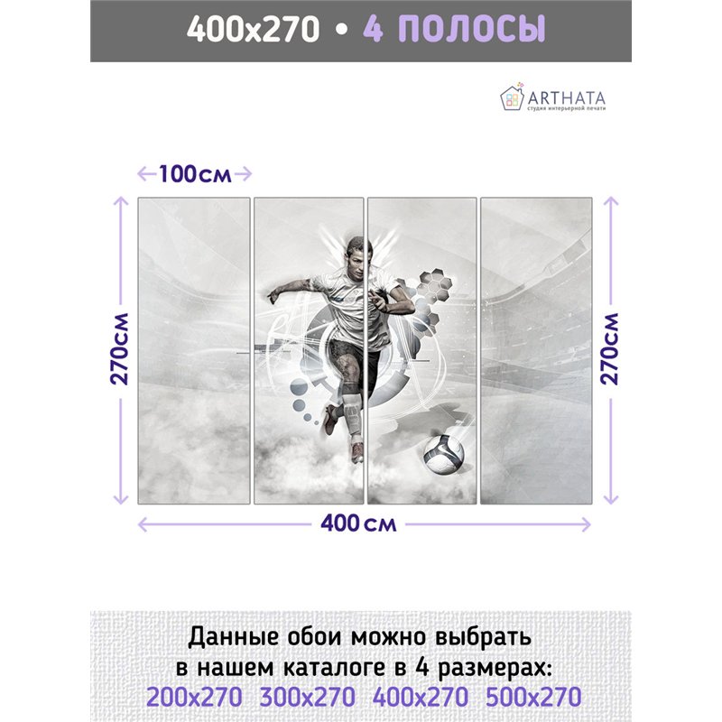 Фотообои Спортивные игры - Футбол Роналду 400х270 см для коридора