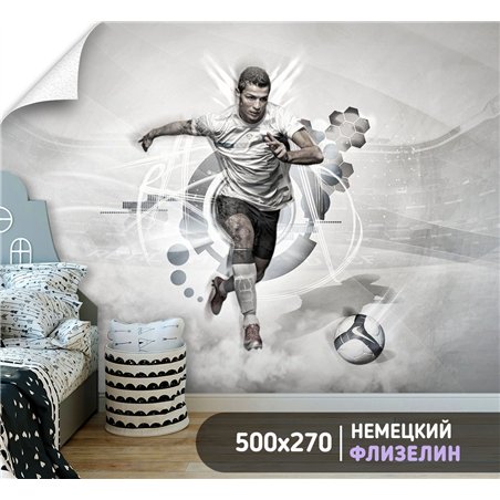 Фотообои Спортивные игры - Футбол Роналду 500х270 см для декорирования стен в зале
