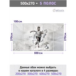 Фотообои Спортивные игры - Футбол Роналду 500х270 см для декорирования стен в зале