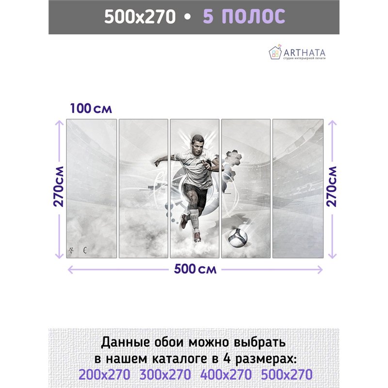 Фотообои Спортивные игры - Футбол Роналду 500х270 см для декорирования стен в зале