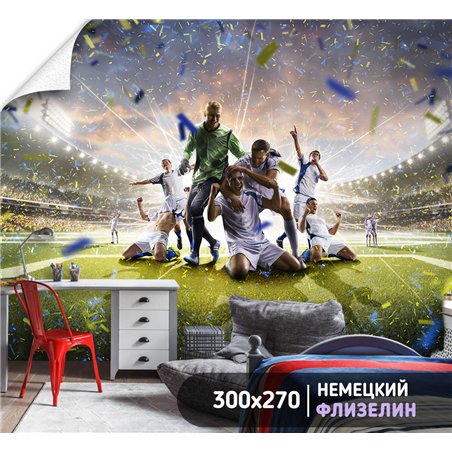 Фотообои Спорт - футбольное поле 300х270 см интерьерные