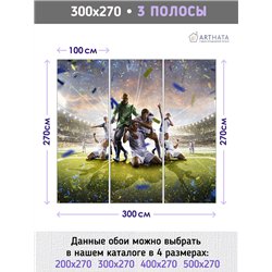 Фотообои Спорт - футбольное поле 300х270 см интерьерные