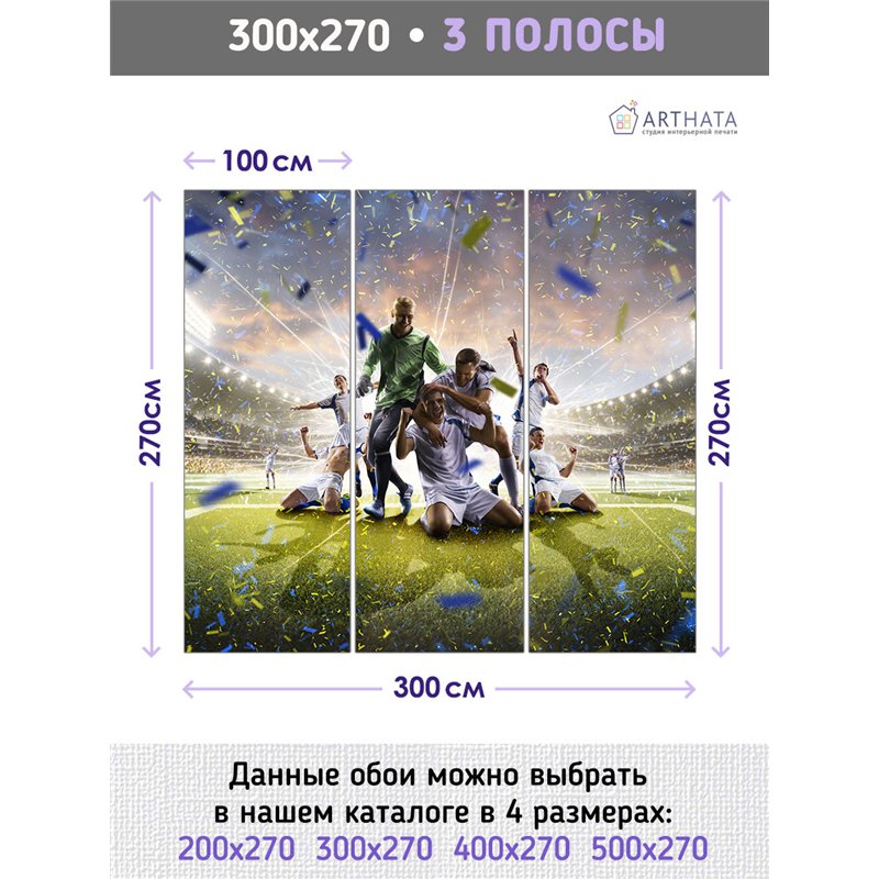 Фотообои Спорт - футбольное поле 300х270 см интерьерные