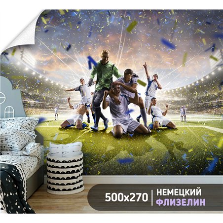 Фотообои Спорт - футбольное поле 500х270 см для спальни