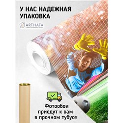 Фотообои Спорт - футбольное поле 400х270 см для оформления стен в гостиной