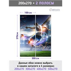 Фотообои Спорт - футбольное поле 200х270 см в детскую