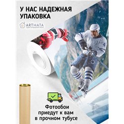 Фотообои Спортивные игры - хоккейк 400х270 см для спальни