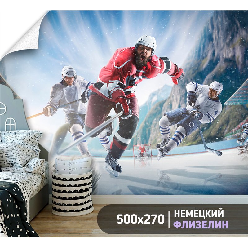 Фотообои Спортивные игры - хоккейк 500х270 см для коридора