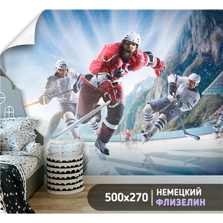 Фотообои Спортивные игры - хоккейк 500х270 см для коридора