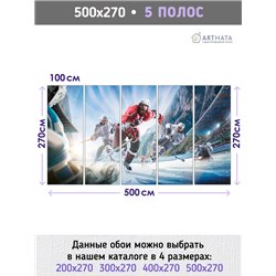 Фотообои Спортивные игры - хоккейк 500х270 см для коридора