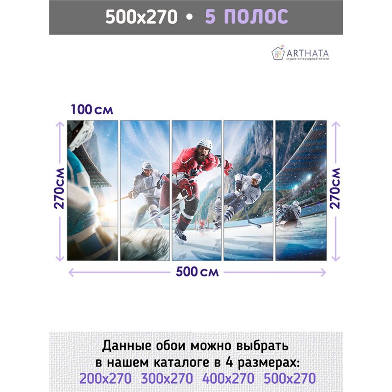 Фотообои Спортивные игры - хоккейк 500х270 см для коридора