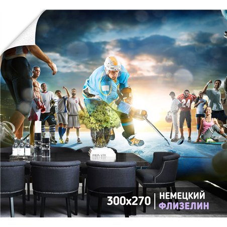 Фотообои Спортивные игры - хоккейк 300х270 см для оформления стен в гостиной