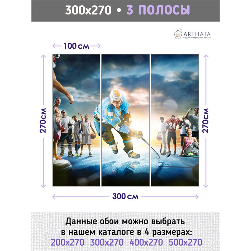 Фотообои Спортивные игры - хоккейк 300х270 см для оформления стен в гостиной