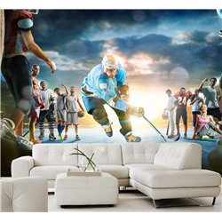 Фотообои Спортивные игры - хоккейк 300х270 см для оформления стен в гостиной