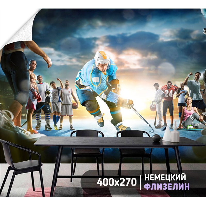 Фотообои Спортивные игры - хоккейк 400х270 см в детскую