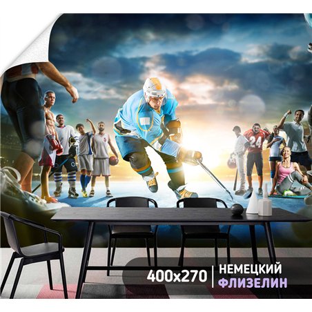 Фотообои Спортивные игры - хоккейк 400х270 см в детскую