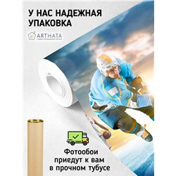 Фотообои Спортивные игры - хоккейк 400х270 см в детскую