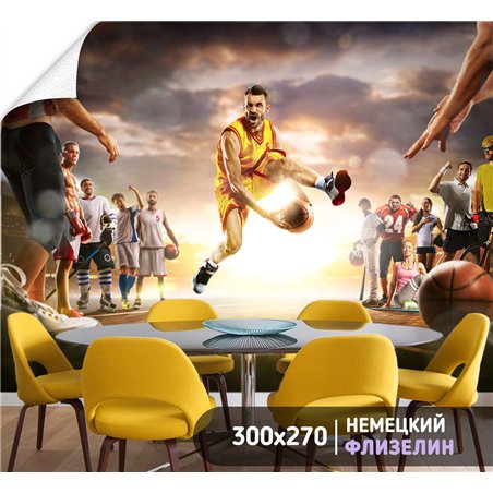 Фотообои Спорт - баскетбольный мяч 300х270 см интерьерные