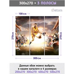 Фотообои Спорт - баскетбольный мяч 300х270 см интерьерные