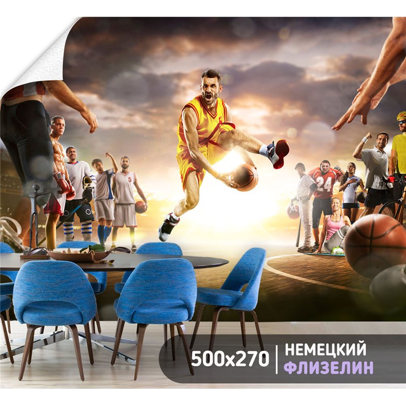 Фотообои Спорт - баскетбольный мяч 500х270 см для спальни