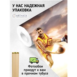Фотообои Спорт - баскетбольный мяч 500х270 см для спальни