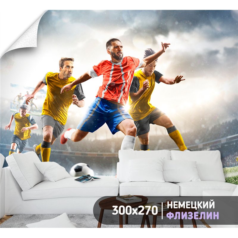 Фотообои Спорт - футболисты 300х270 см для декорирования стен в зале