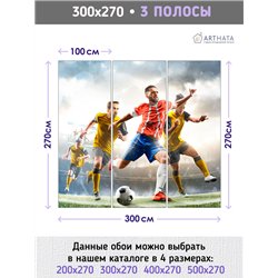 Фотообои Спорт - футболисты 300х270 см для декорирования стен в зале