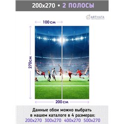 Фотообои Спорт - футбольное поле 200х270 см для детской