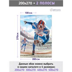 Фотообои Спорт - американский футбол 200х270 см для спальни