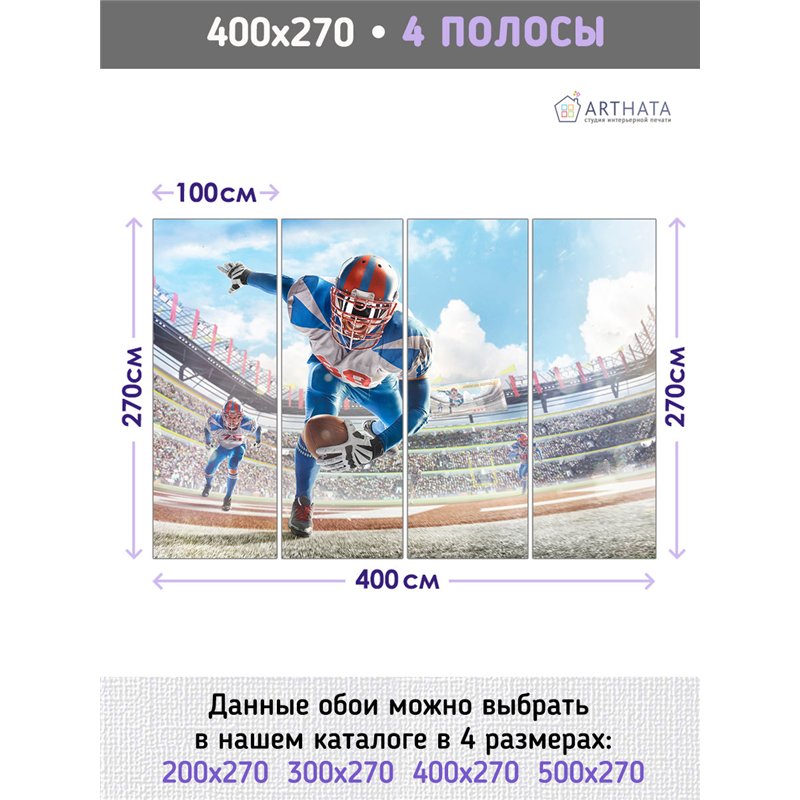Фотообои Спорт - американский футбол 400х270 см для декорирования стен в зале