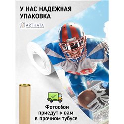 Фотообои Спорт - американский футбол 400х270 см для декорирования стен в зале