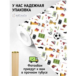 Фотообои Спортивные игры - Футбол 500х270 см интерьерные