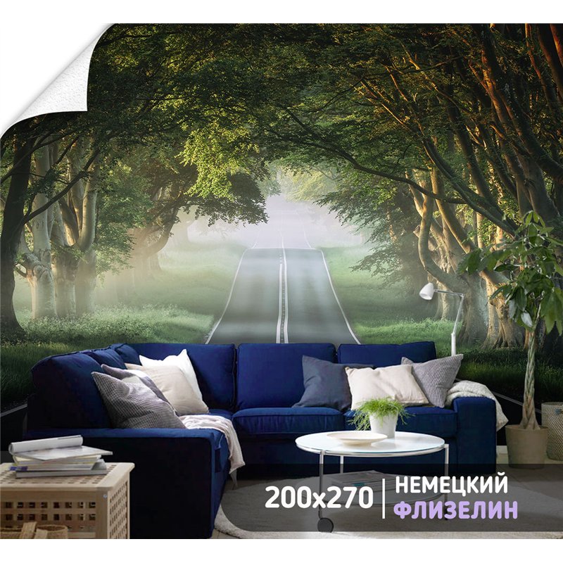 Фотообои Лес в тумане 200х270 см флизелиновые с виниловым покрытием