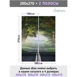 Фотообои Лес в тумане 200х270 см флизелиновые с виниловым покрытием