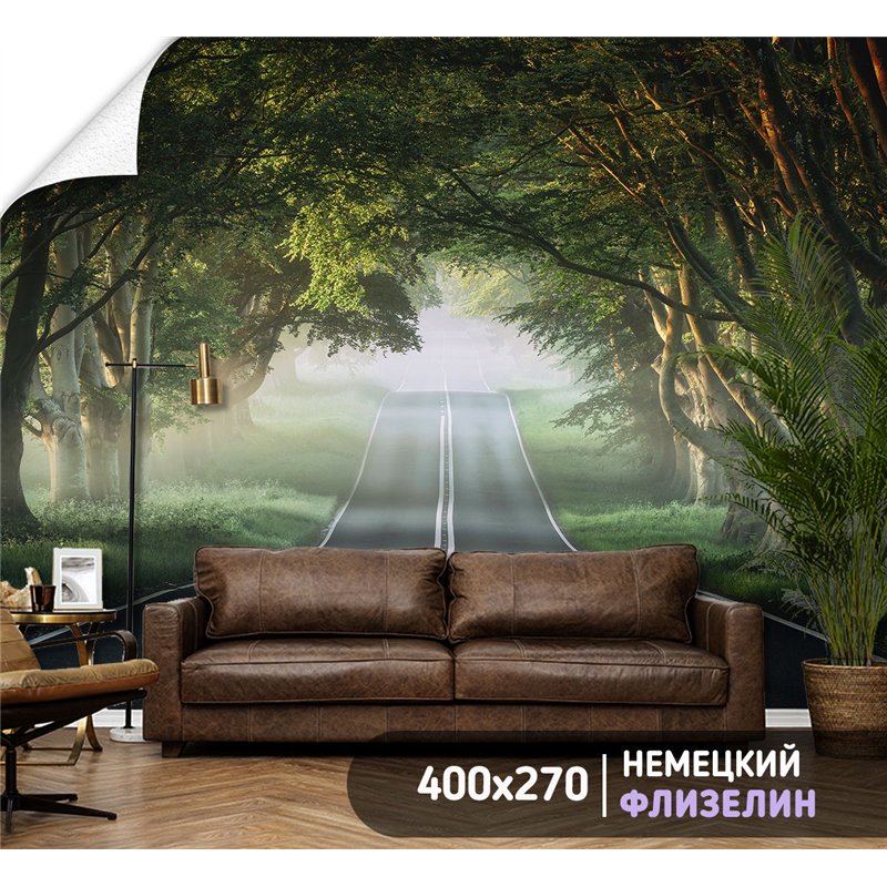 Фотообои Лес в тумане 400х270 см для коридора