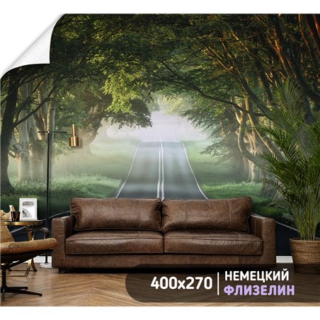 Фотообои Лес в тумане 400х270 см для коридора