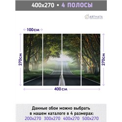 Фотообои Лес в тумане 400х270 см для коридора