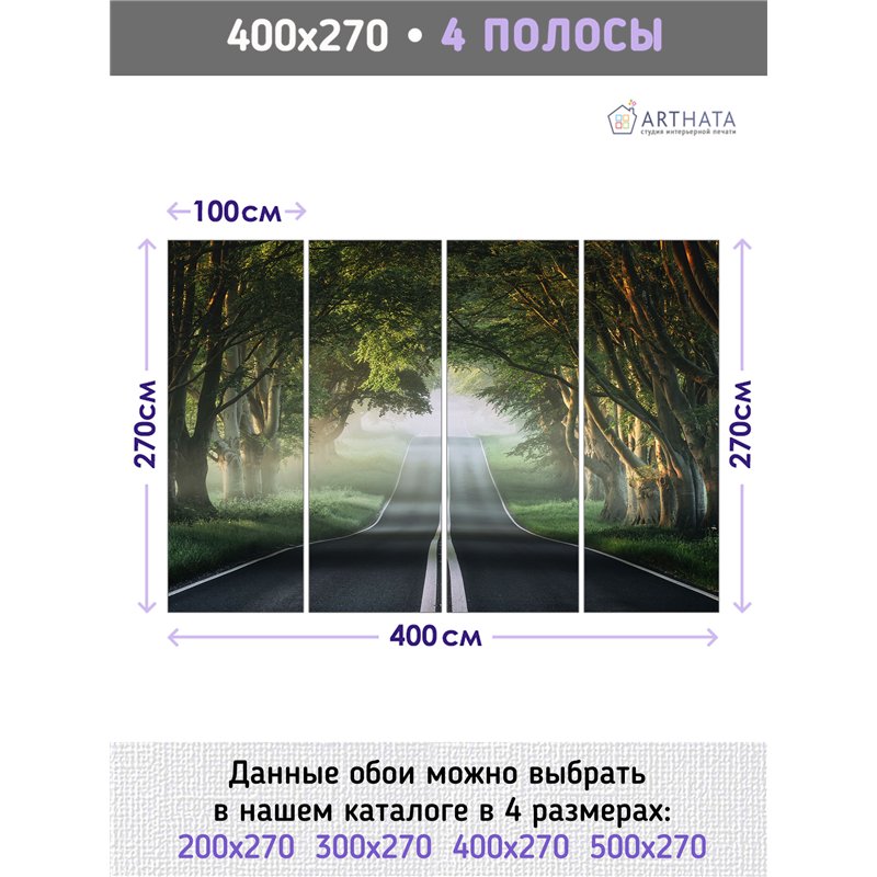 Фотообои Лес в тумане 400х270 см для коридора