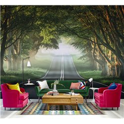 Фотообои Лес в тумане 400х270 см для коридора