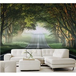 Фотообои Лес в тумане 400х270 см для коридора