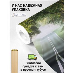 Фотообои Лес в тумане 400х270 см для коридора
