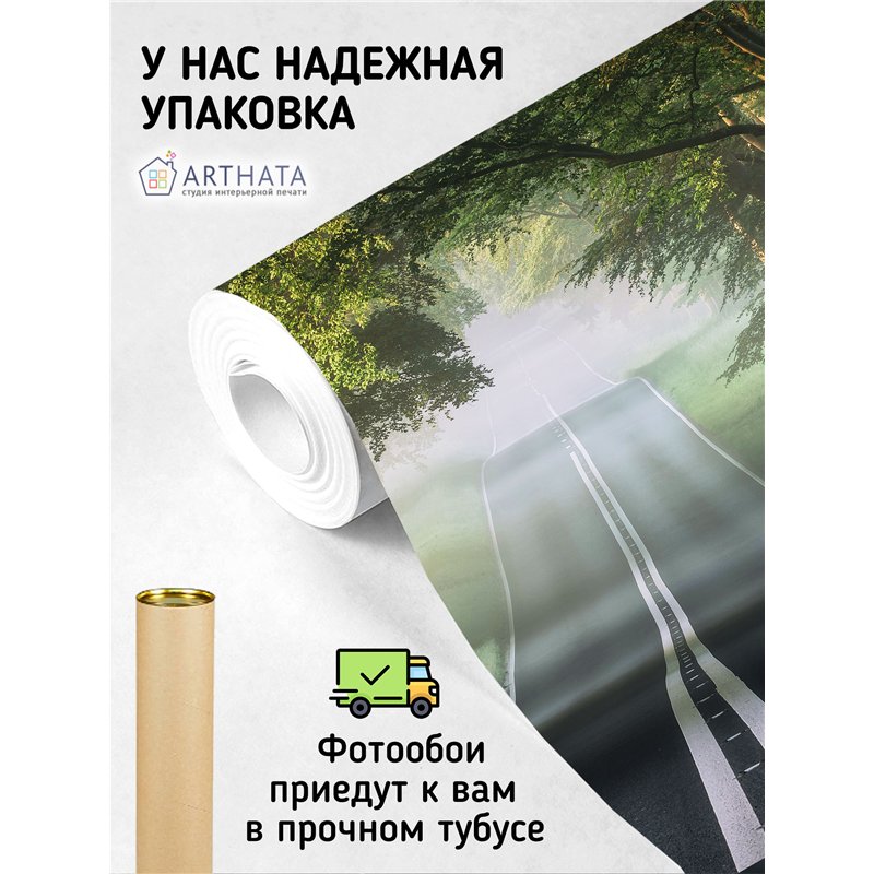 Фотообои Лес в тумане 400х270 см для коридора