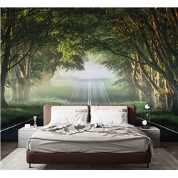 Фотообои Лес в тумане 400х270 см для коридора