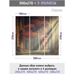 Фотообои Осенний лес в тумане 300х270 см интерьерные