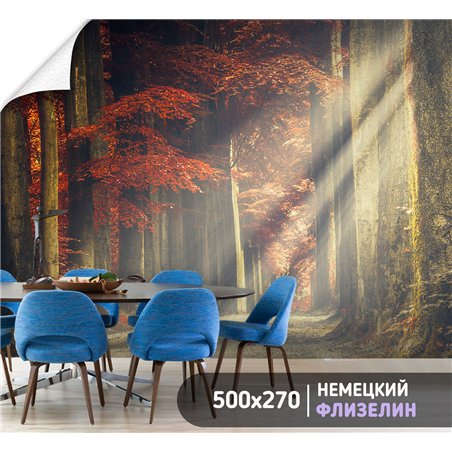 Фотообои Осенний лес в тумане 500х270 см для спальни
