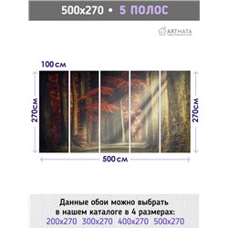 Фотообои Осенний лес в тумане 500х270 см для спальни