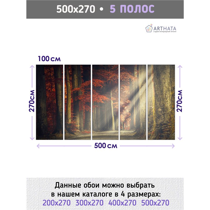 Фотообои Осенний лес в тумане 500х270 см для спальни