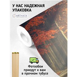 Фотообои Осенний лес в тумане 500х270 см для спальни