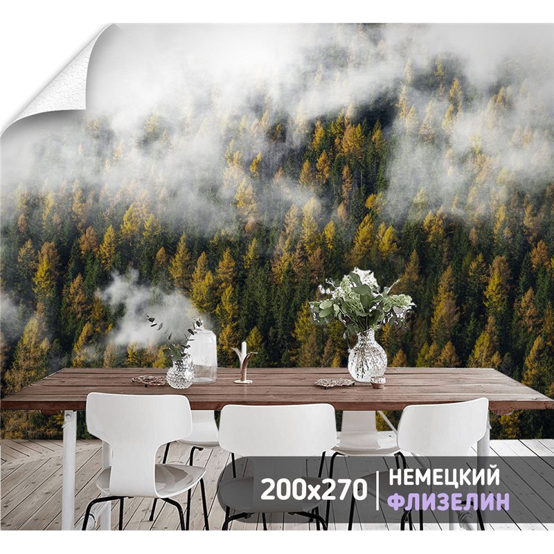 Фотообои Осенний лес в тумане и облаках 200х270 см для коридора